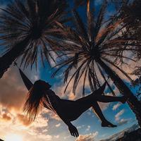 Отзыв от Олеся - DTV виза